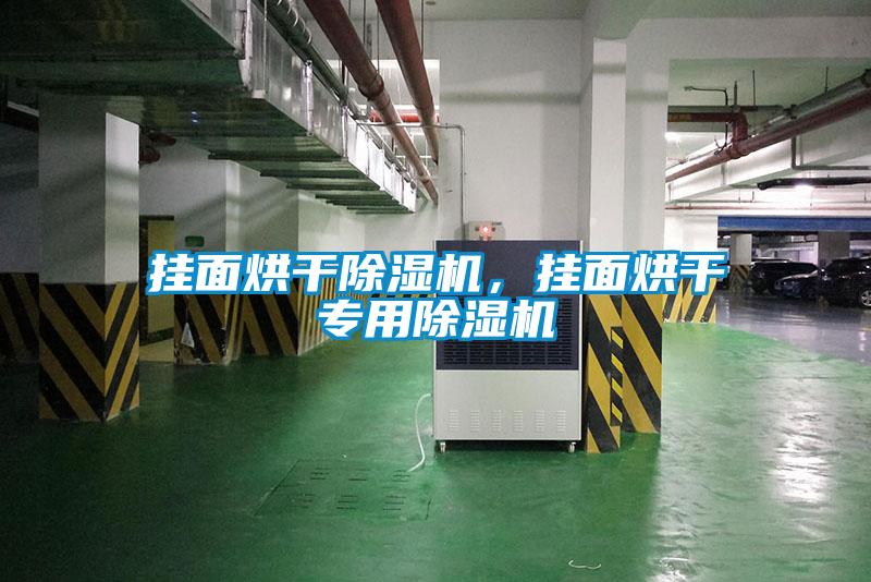 掛面烘干除濕機(jī)，掛面烘干專用除濕機(jī)