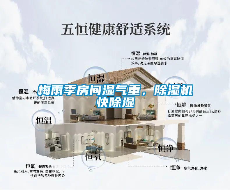 梅雨季房間濕氣重，除濕機快除濕