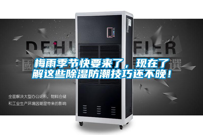 梅雨季節(jié)快要來了，現(xiàn)在了解這些除濕防潮技巧還不晚！