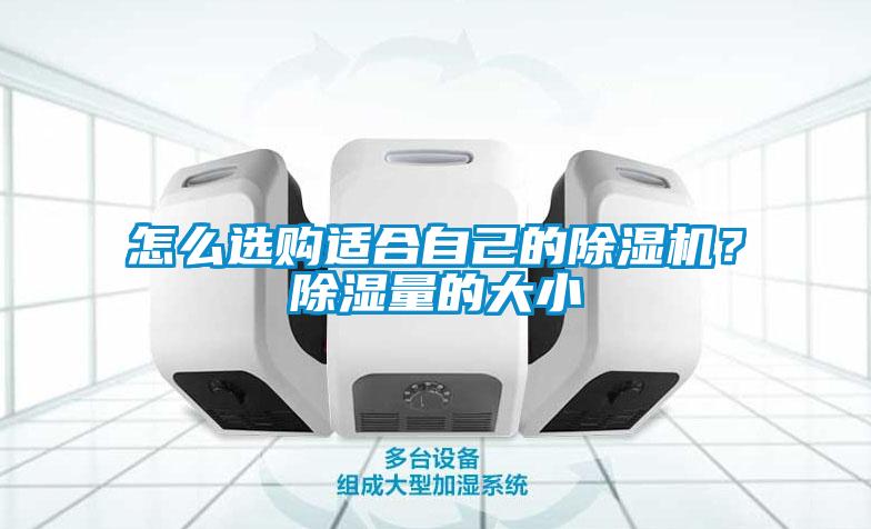 怎么選購適合自己的除濕機(jī)？除濕量的大小