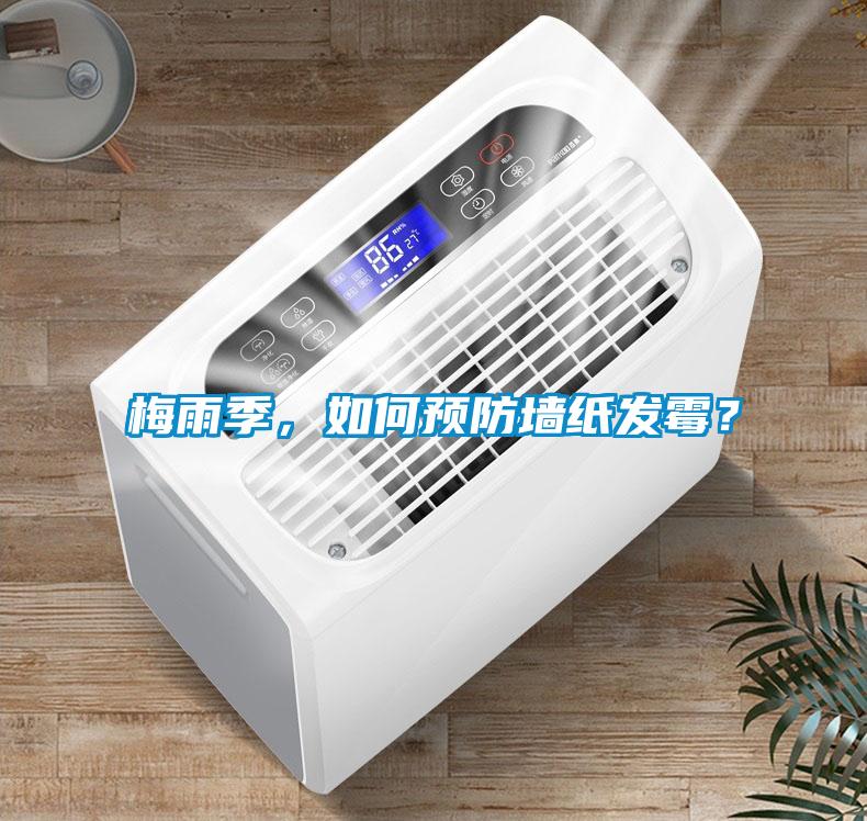 梅雨季，如何預(yù)防墻紙發(fā)霉？