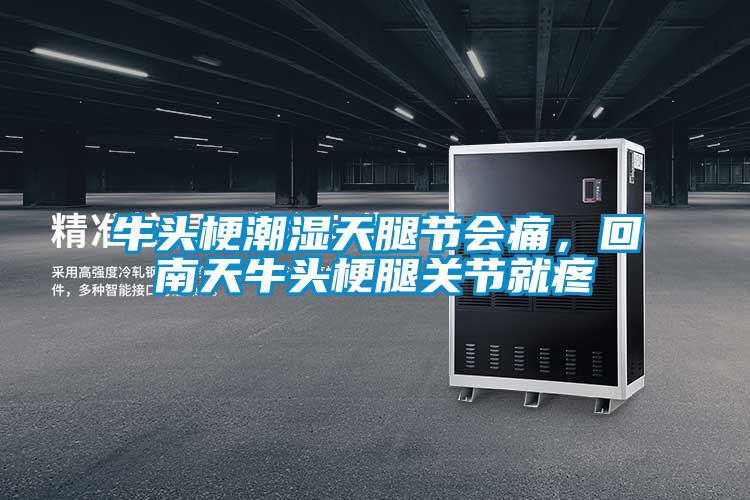 牛頭梗潮濕天腿節(jié)會痛，回南天牛頭梗腿關(guān)節(jié)就疼