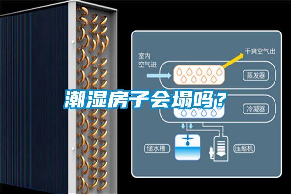 潮濕房子會(huì)塌嗎？