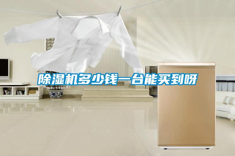 除濕機(jī)多少錢(qián)一臺(tái)能買(mǎi)到呀