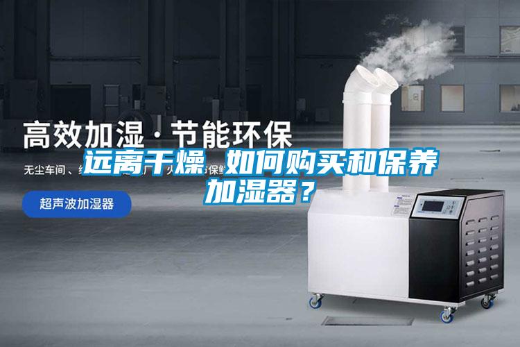 遠離干燥 如何購買和保養(yǎng)加濕器？
