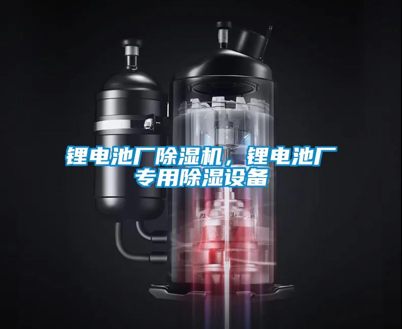 鋰電池廠除濕機(jī)，鋰電池廠專用除濕設(shè)備