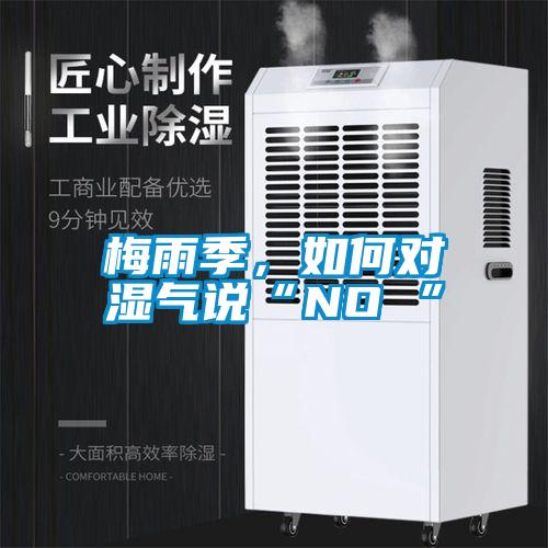 梅雨季，如何對(duì)濕氣說“NO ”