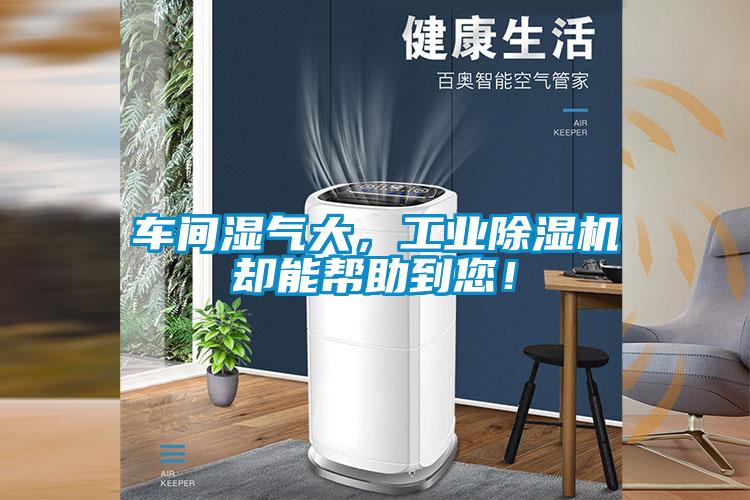 車間濕氣大，工業(yè)除濕機卻能幫助到您！