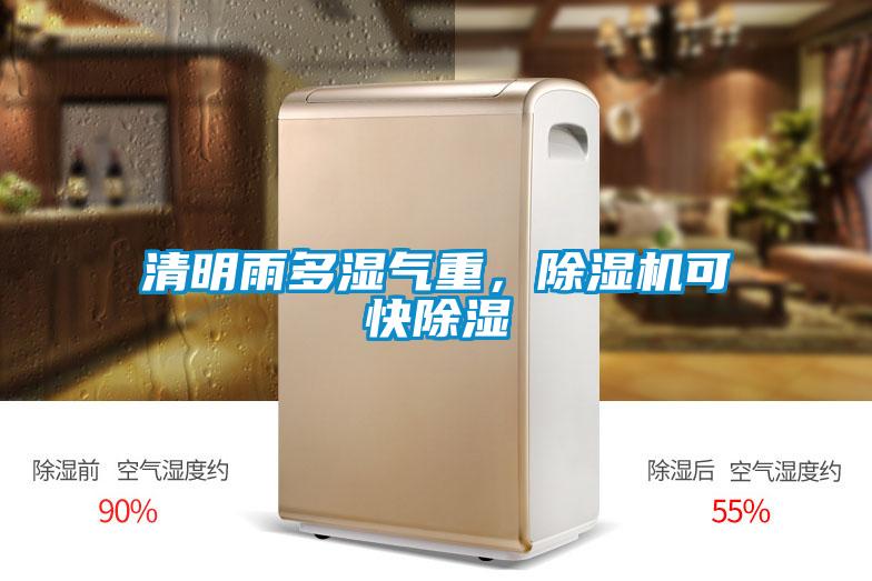 清明雨多濕氣重，除濕機可快除濕
