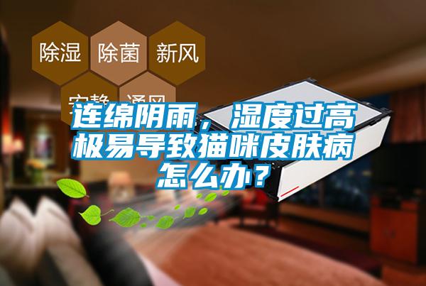 連綿陰雨，濕度過高極易導(dǎo)致貓咪皮膚病怎么辦？