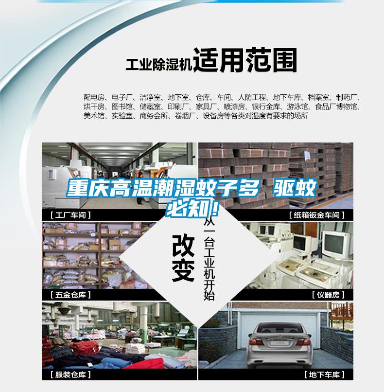 重慶高溫潮濕蚊子多 驅(qū)蚊必知！
