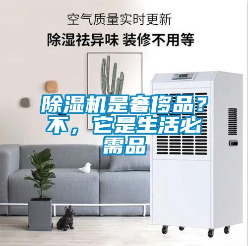 除濕機是奢侈品？不，它是生活必需品