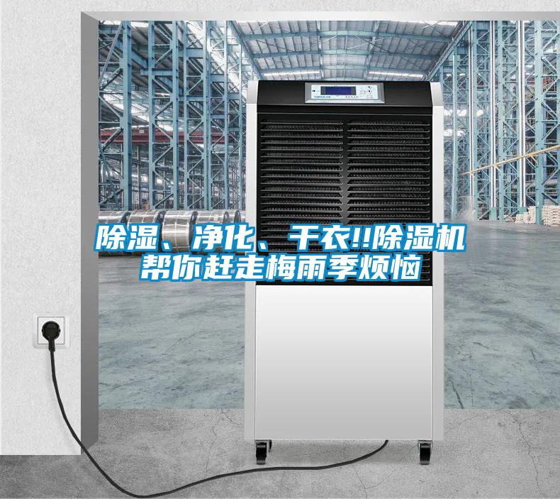 除濕、凈化、干衣!!除濕機(jī)幫你趕走梅雨季煩惱