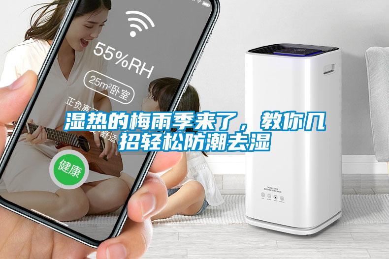 濕熱的梅雨季來了，教你幾招輕松防潮去濕