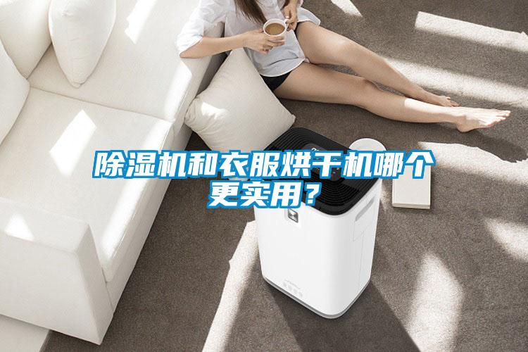除濕機(jī)和衣服烘干機(jī)哪個(gè)更實(shí)用？