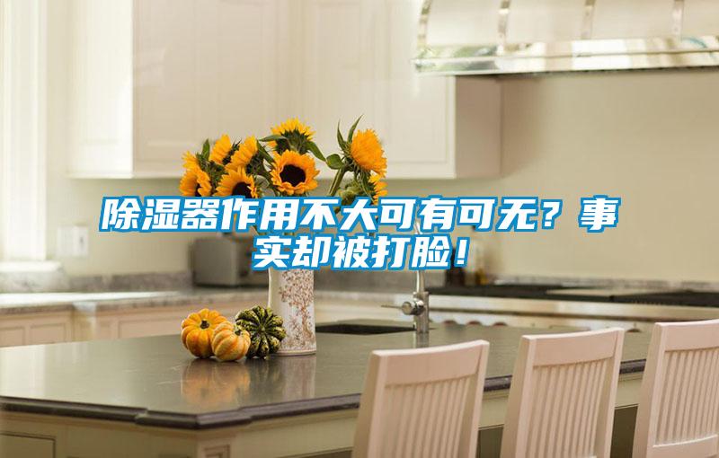 除濕器作用不大可有可無(wú)？事實(shí)卻被打臉！