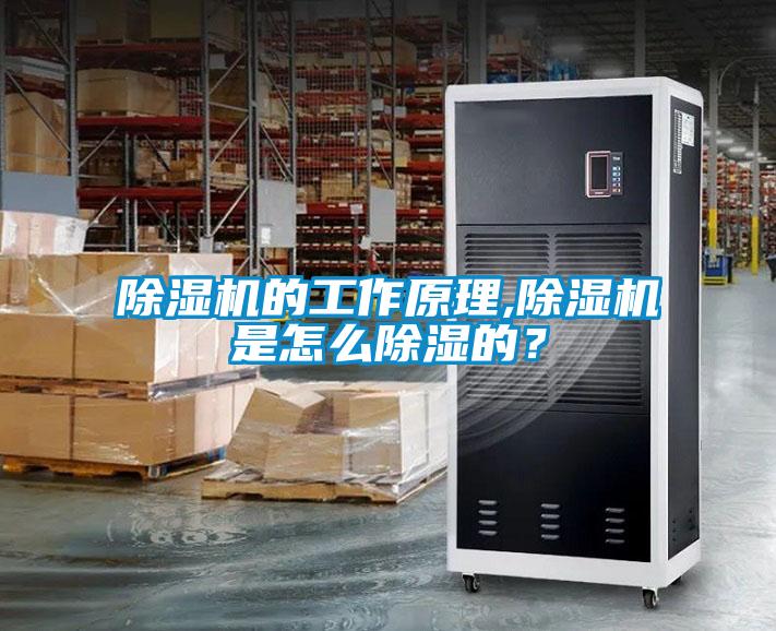 除濕機(jī)的工作原理,除濕機(jī)是怎么除濕的？