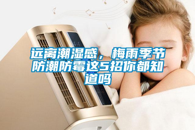 遠(yuǎn)離潮濕感，梅雨季節(jié)防潮防霉這5招你都知道嗎