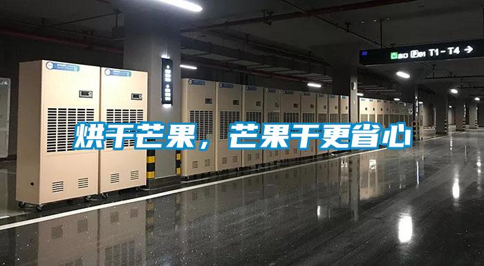 烘干芒果，芒果干更省心