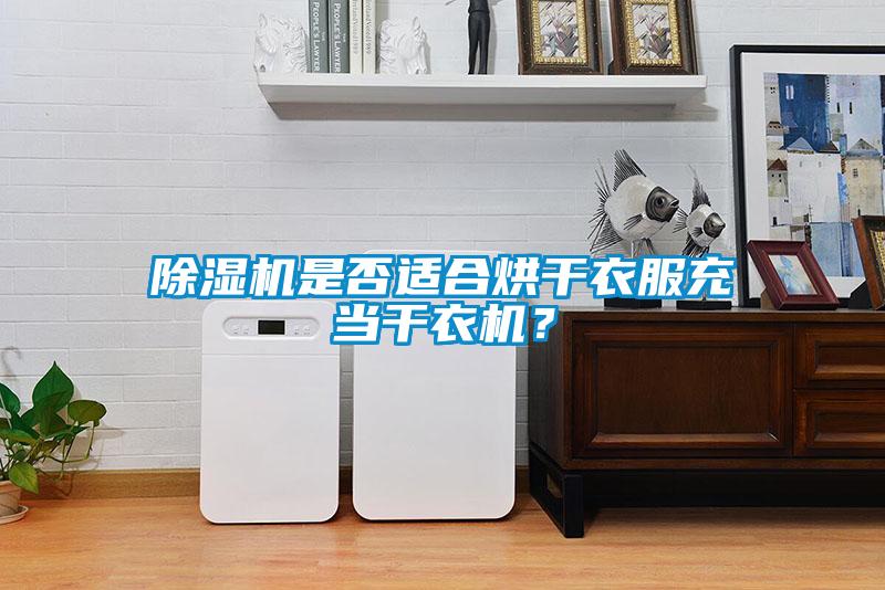 除濕機(jī)是否適合烘干衣服充當(dāng)干衣機(jī)？
