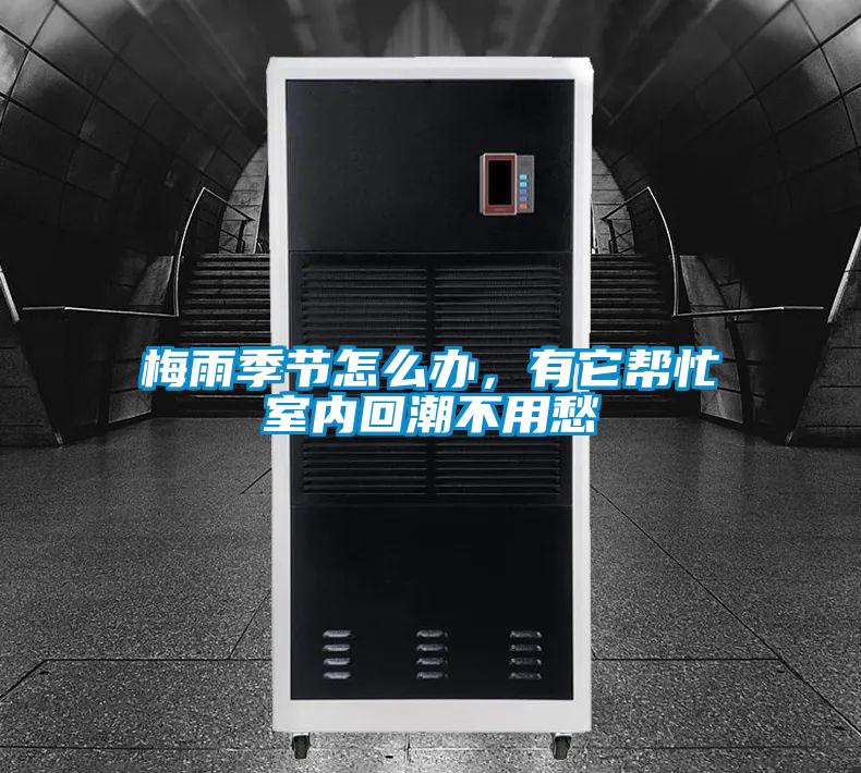 梅雨季節(jié)怎么辦，有它幫忙室內(nèi)回潮不用愁