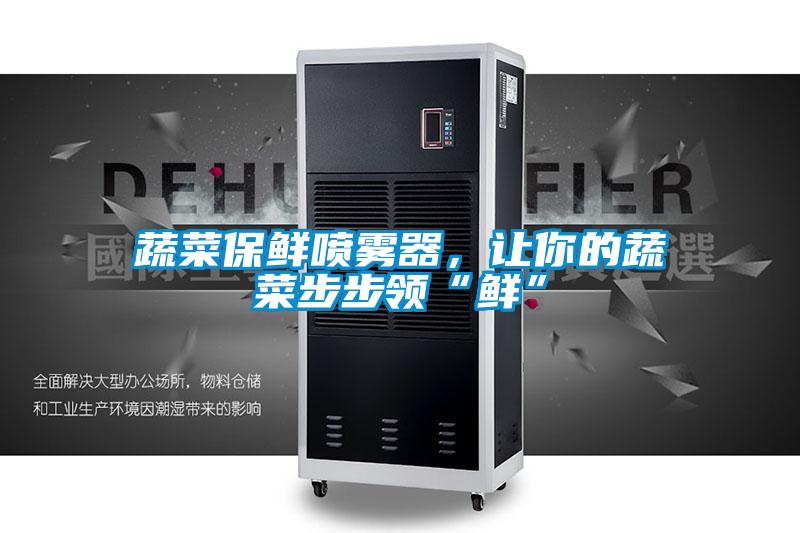 蔬菜保鮮噴霧器，讓你的蔬菜步步領(lǐng)“鮮”