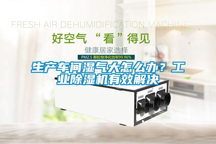生產(chǎn)車間濕氣大怎么辦？工業(yè)除濕機(jī)有效解決