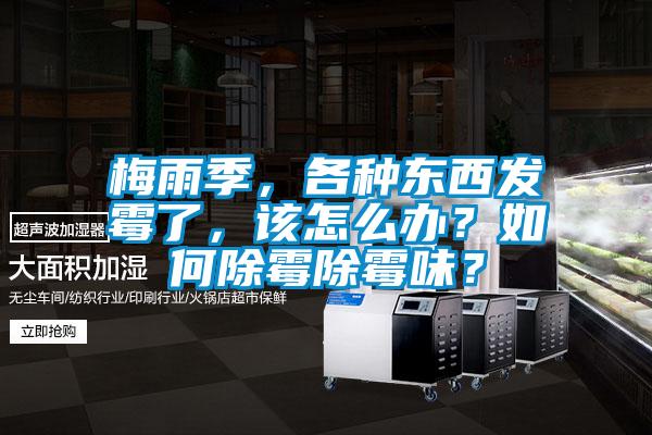 梅雨季，各種東西發(fā)霉了，該怎么辦？如何除霉除霉味？