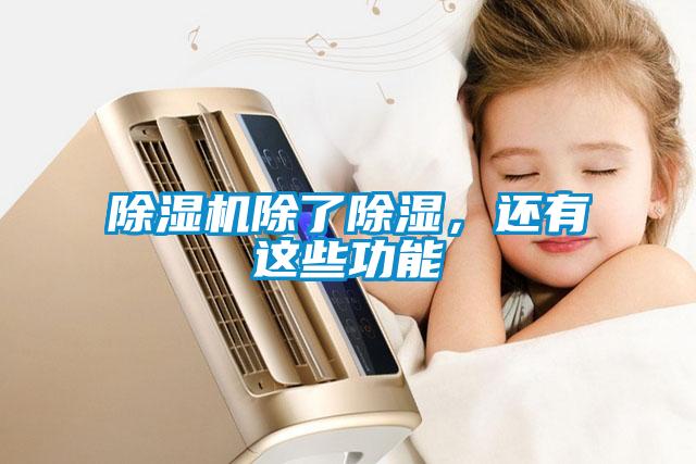 除濕機(jī)除了除濕，還有這些功能