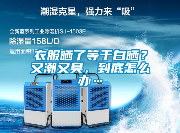 衣服曬了等于白曬？又潮又臭，到底怎么辦…