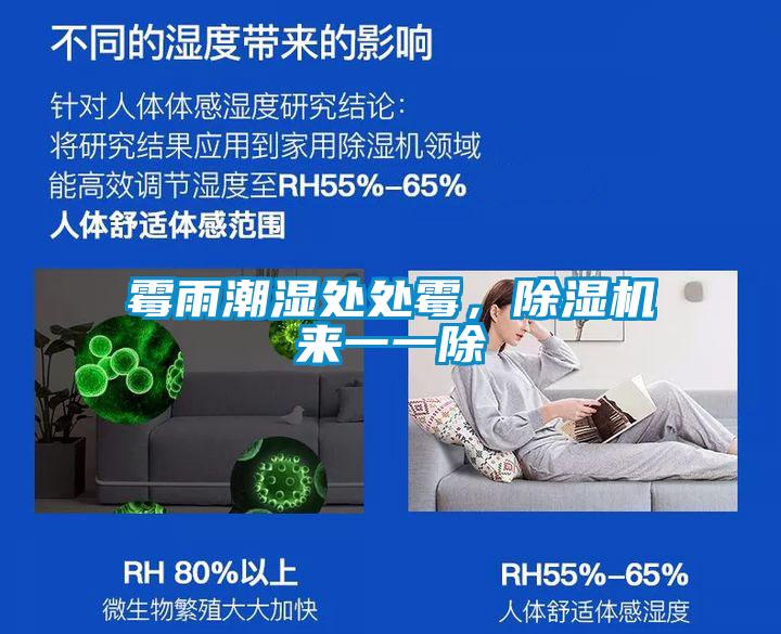 霉雨潮濕處處霉，除濕機(jī)來一一除