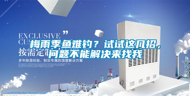 梅雨季魚難釣？試試這幾招，問題不能解決來找我