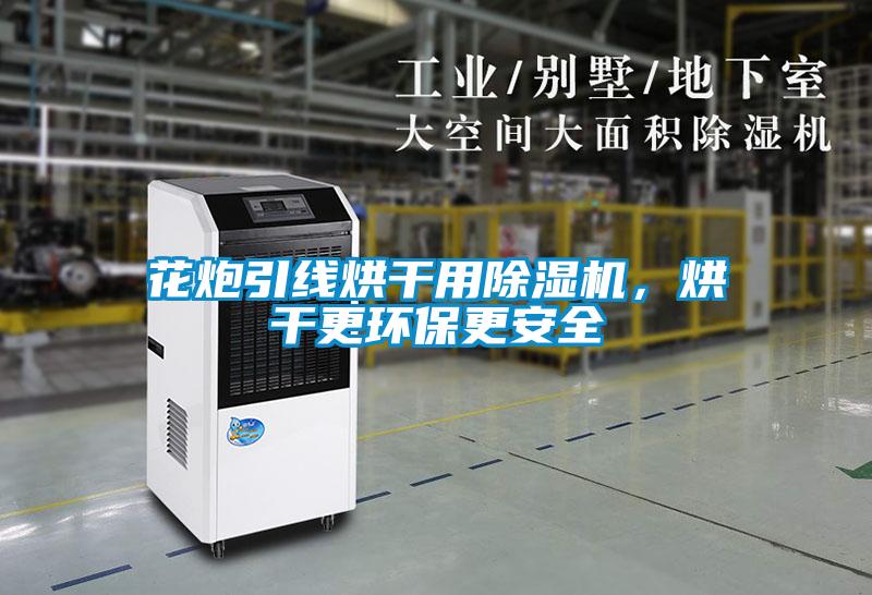 花炮引線烘干用除濕機(jī)，烘干更環(huán)保更安全