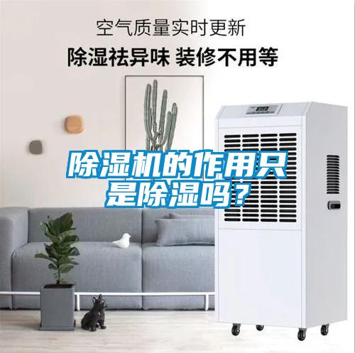 除濕機(jī)的作用只是除濕嗎？