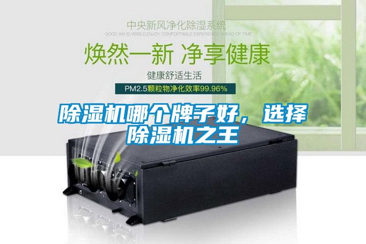 除濕機(jī)哪個(gè)牌子好，選擇除濕機(jī)之王