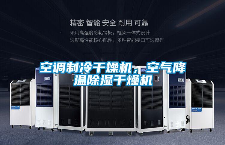 空調(diào)制冷干燥機(jī)，空氣降溫除濕干燥機(jī)