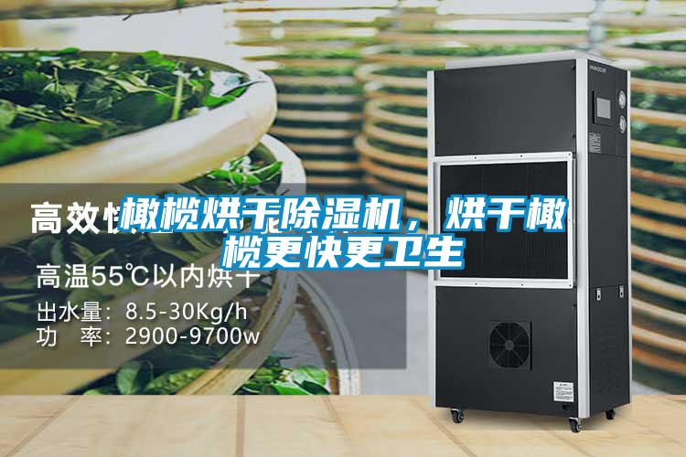橄欖烘干除濕機(jī)，烘干橄欖更快更衛(wèi)生