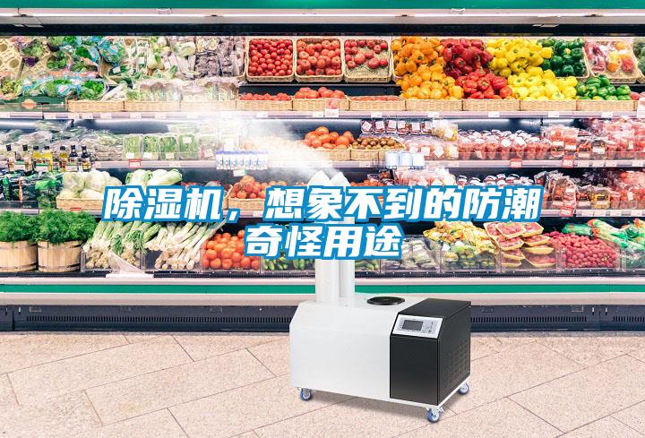 除濕機(jī)，想象不到的防潮奇怪用途