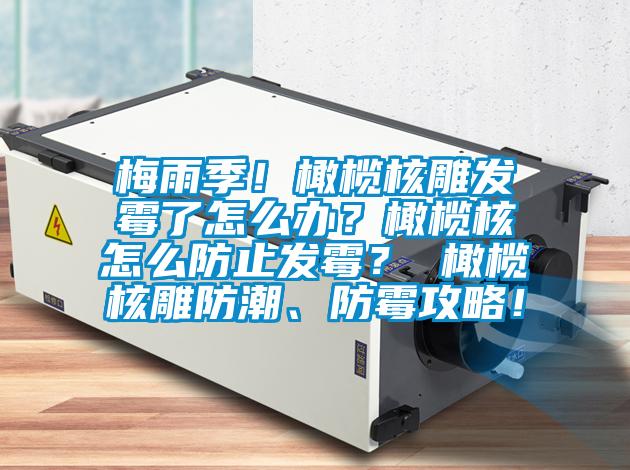 梅雨季！橄欖核雕發(fā)霉了怎么辦？橄欖核怎么防止發(fā)霉？ 橄欖核雕防潮、防霉攻略！