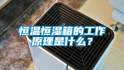 恒溫恒濕箱的工作原理是什么？