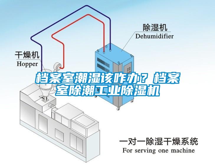 檔案室潮濕該咋辦？檔案室除潮工業(yè)除濕機(jī)