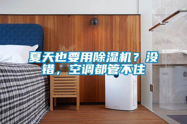 夏天也要用除濕機(jī)？沒錯，空調(diào)都管不住