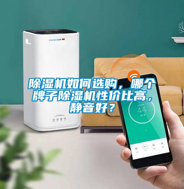 除濕機(jī)如何選購(gòu)，哪個(gè)牌子除濕機(jī)性?xún)r(jià)比高，靜音好？