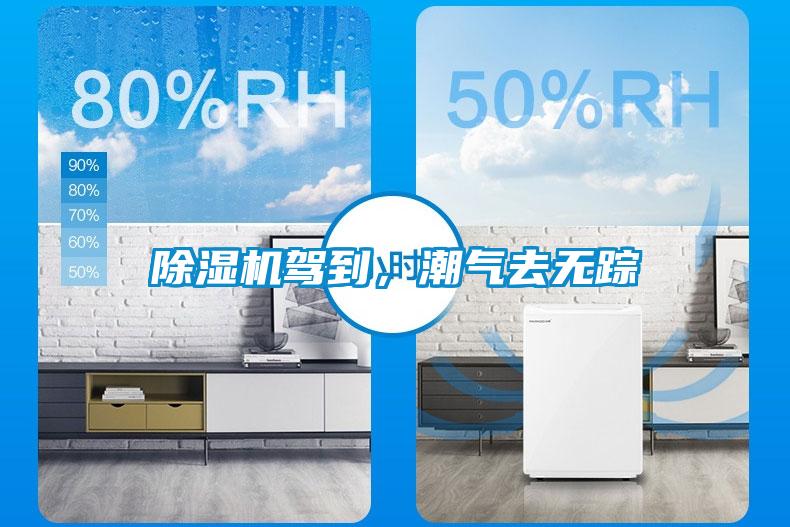 除濕機(jī)駕到，潮氣去無蹤