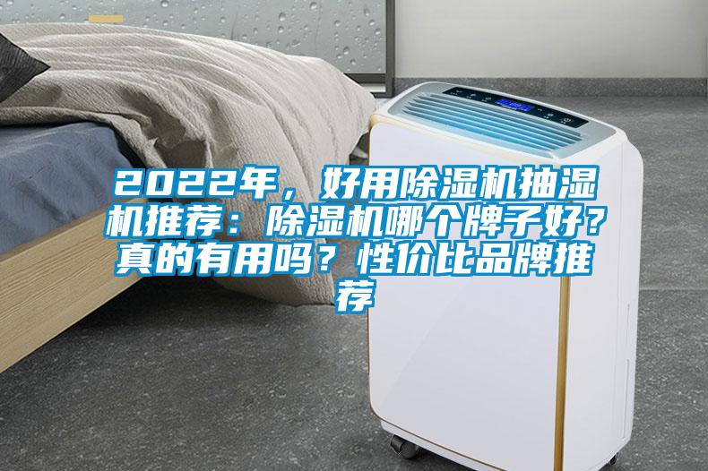 2022年，好用除濕機(jī)抽濕機(jī)推薦：除濕機(jī)哪個(gè)牌子好？真的有用嗎？性價(jià)比品牌推薦