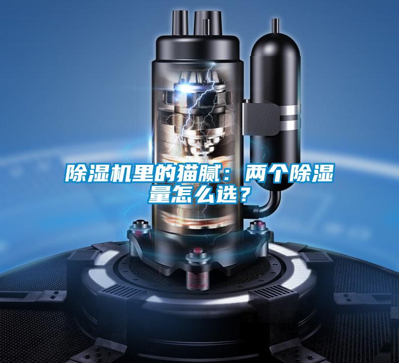 除濕機里的貓膩：兩個除濕量怎么選？