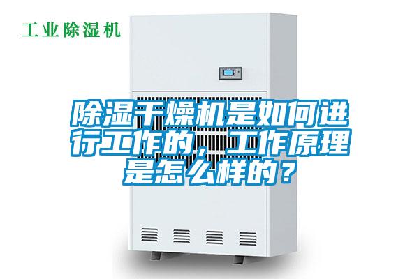 除濕干燥機(jī)是如何進(jìn)行工作的，工作原理是怎么樣的？