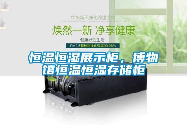 恒溫恒濕展示柜，博物館恒溫恒濕存儲柜