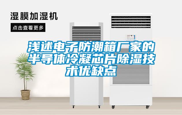 淺述電子防潮箱廠家的半導體冷凝芯片除濕技術(shù)優(yōu)缺點