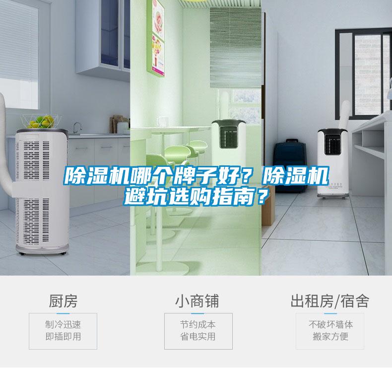 除濕機哪個牌子好？除濕機避坑選購指南？